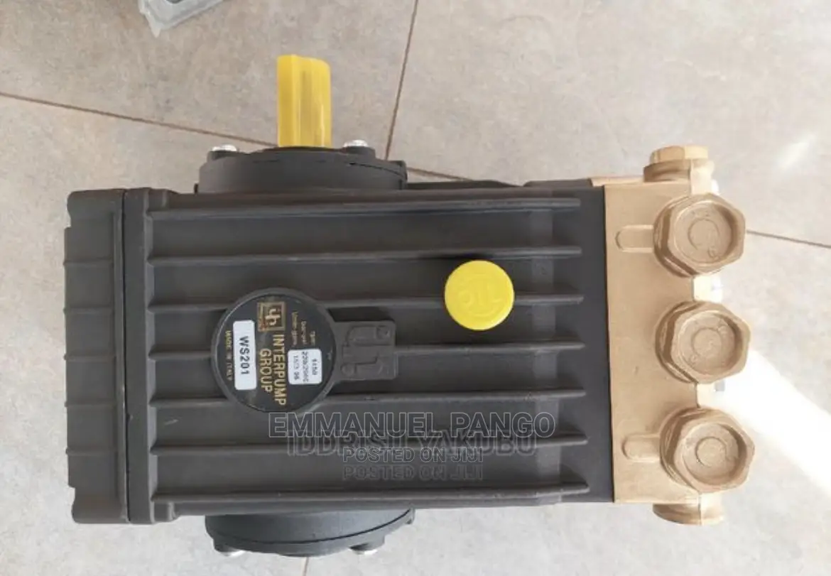 Original Inter Pump Italian Pressure Washer. .
