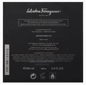 Ferragamo Black for Men