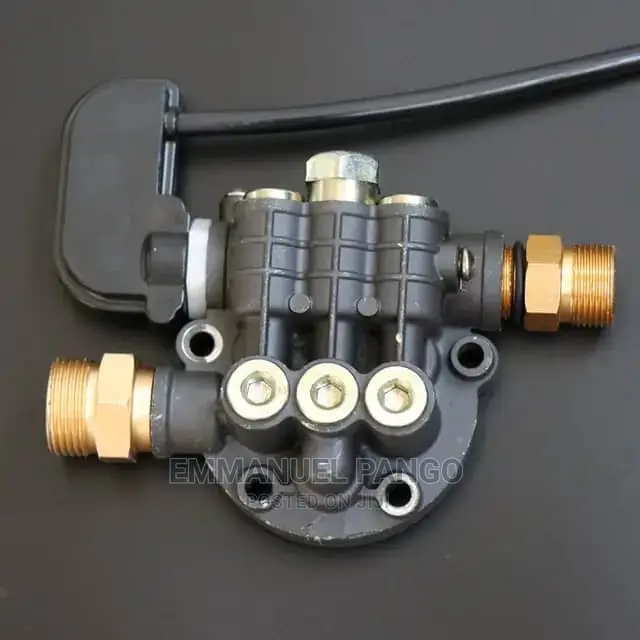 Original Inter Pump Italian Pressure Washer. .