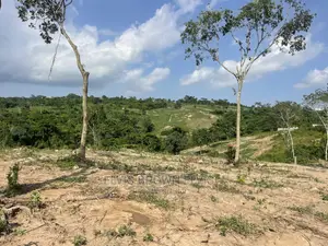 A Genuine Plots of Land for Sale at Abrui