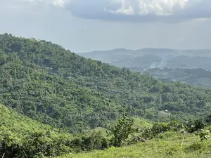 Genuine and Litigation Free Plot of Land for Sale at Abrui