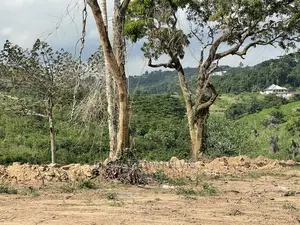 Genuine and Litigation Free Plot of Land for Sale at Abrui