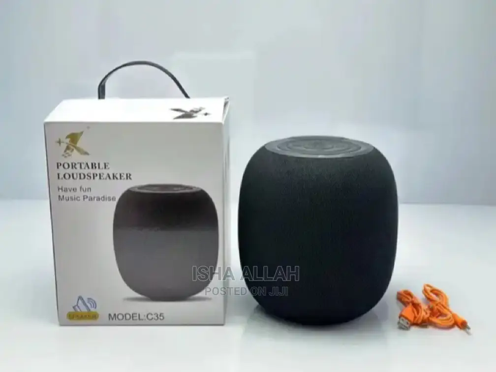 Soundvault C35 Speaker
