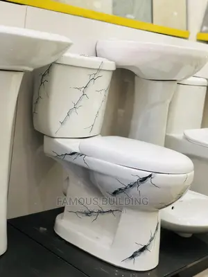 Water Closet With Basin (Complete Set )