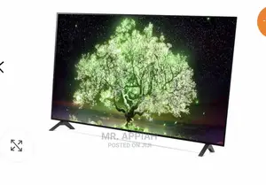 Quality Yet Affordable LG OLED55A1PVA 55” Smart Tv 