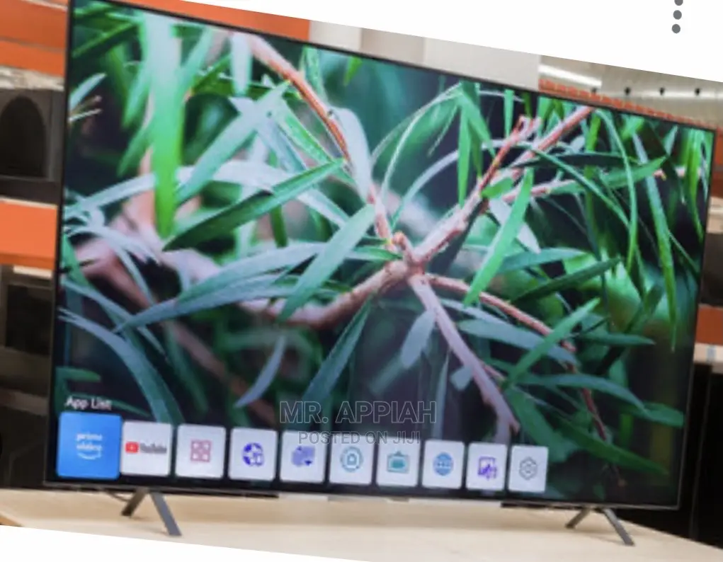 High Quality LG OLED Smart Tv (OLED65A1PVA)