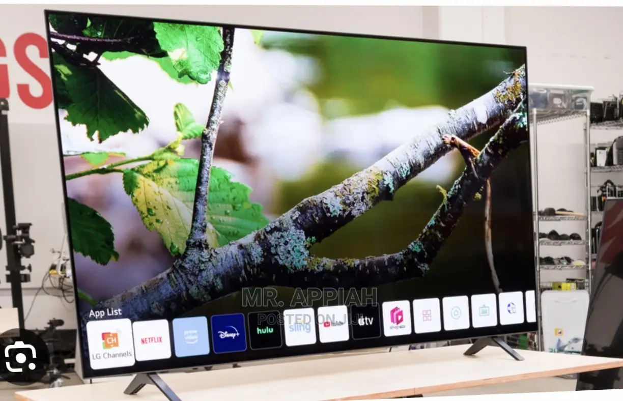 High Quality LG OLED Smart Tv (OLED65A1PVA)