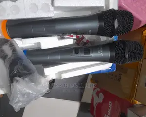 Wireless Microphone Double