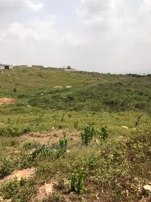 49 Acres of Land at Berekusu