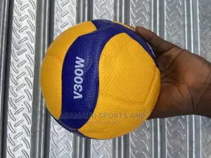 Original Standard Volleynet and Volleyball at Cool Price