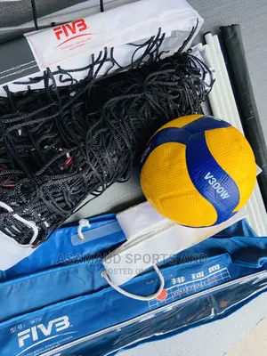 Original Standard Volleynet and Volleyball at Cool Price