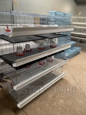 Brooding Cage/ Dayold Cage