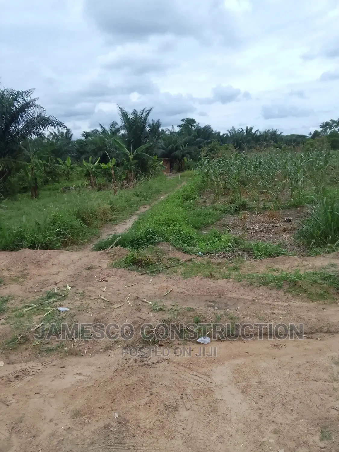 Farmland for Sale