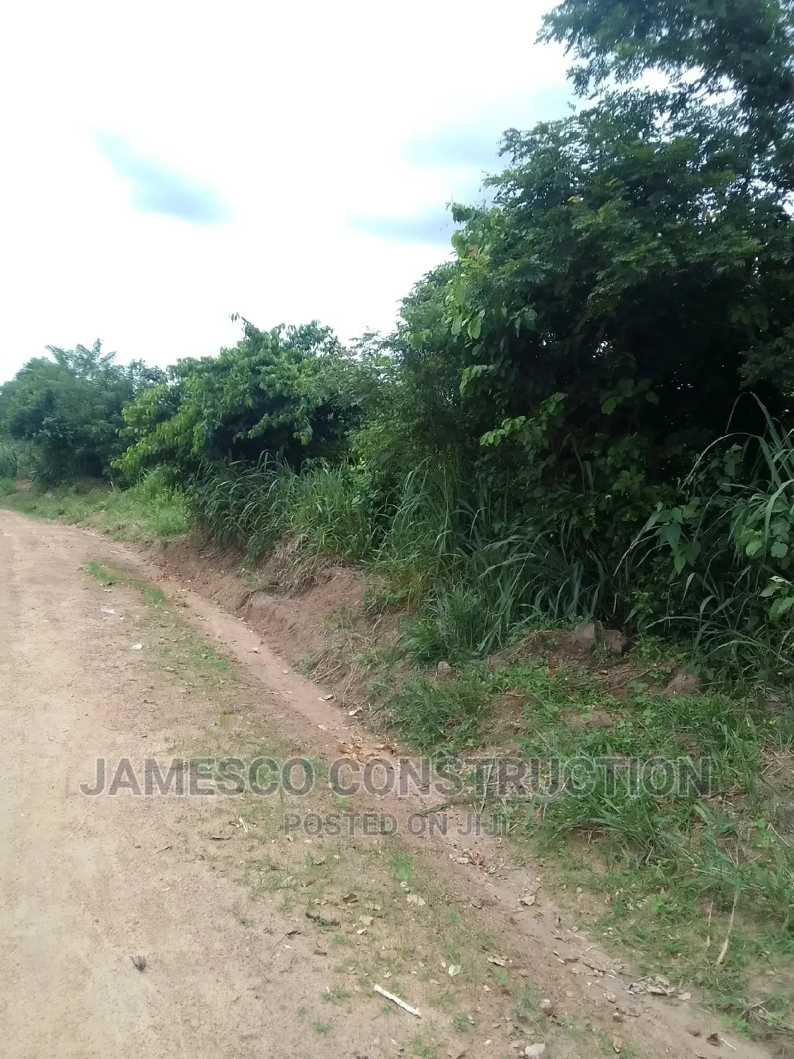 Farmland for Sale