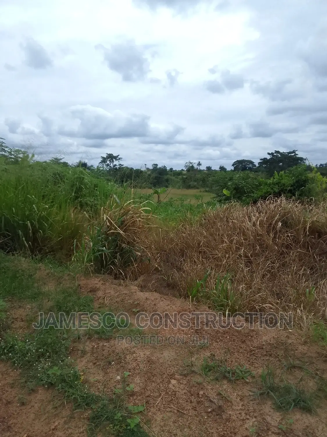 Farmland for Sale