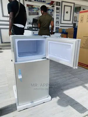 High Quality Nasco Double Door Top Freezer Fridge(Nasf2-10)