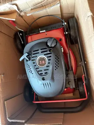 Lawn Mowers 4103