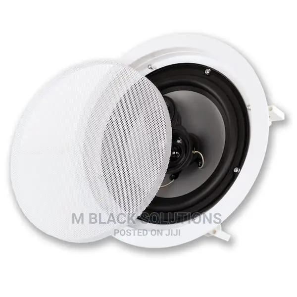 Acoustic Audio Cs-Ic83 Ceiling Speaker