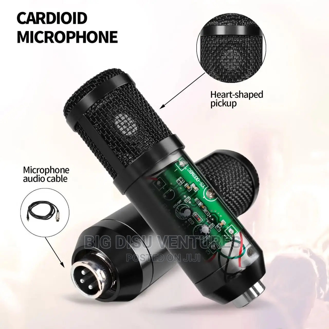 Studio Microphone With V8 Soundcard (BM800)
