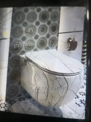 Wall Hung WC - Concealed Water Closet