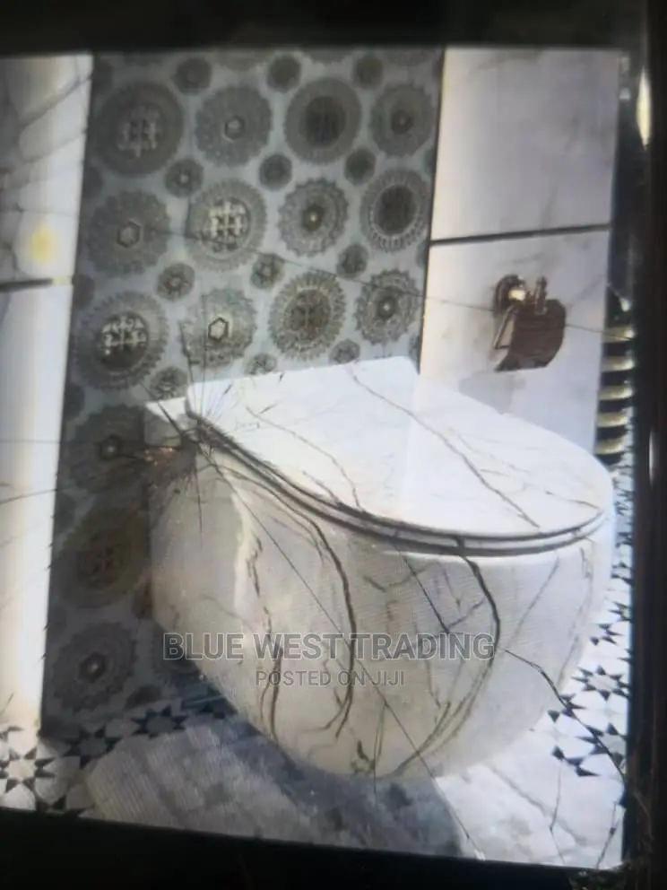 Wall Hung WC - Concealed Water Closet