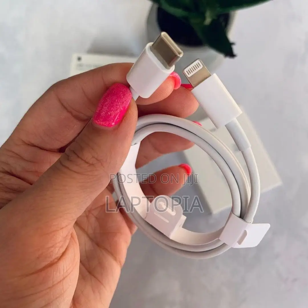 Original iPhone Charger 20W