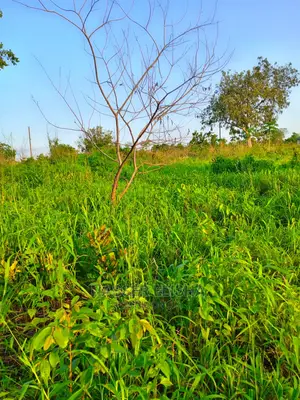 Ho Farmlamds for Sale