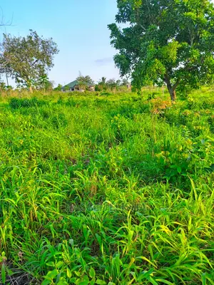 Ho Farmlamds for Sale