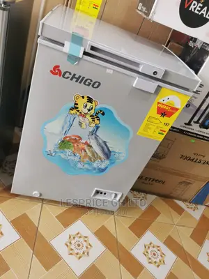 Top Chigo Chest Freezer 93L