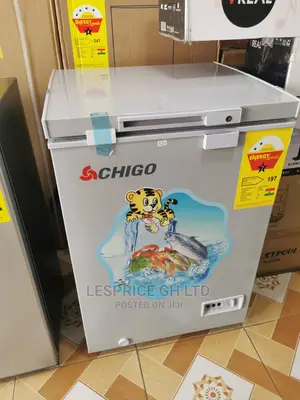 Amazing Chigo Chest Freezer 93L