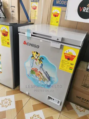 New Arrival Chigo Chest Freezer 93L