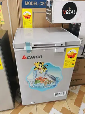 Presentable Chigo Chest Freezer 93L