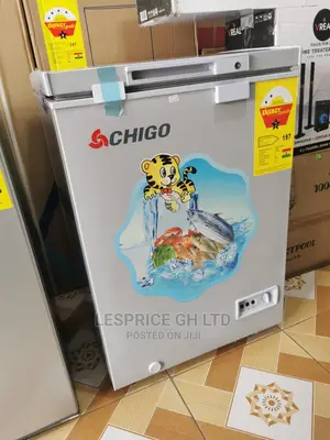 Tear Rubber Chigo Chest Freezer 93L
