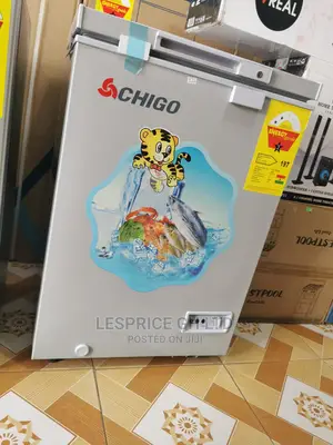 Chigo Quality Chest Freezer 93L