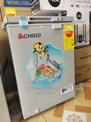 Chigo Exclusive Chest Freezer 93L