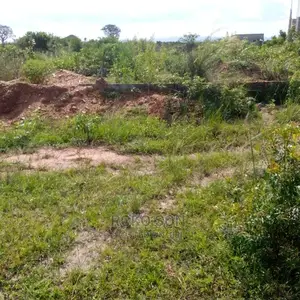 1 and Half Plot of Land for Sale 
At Dzowulu
