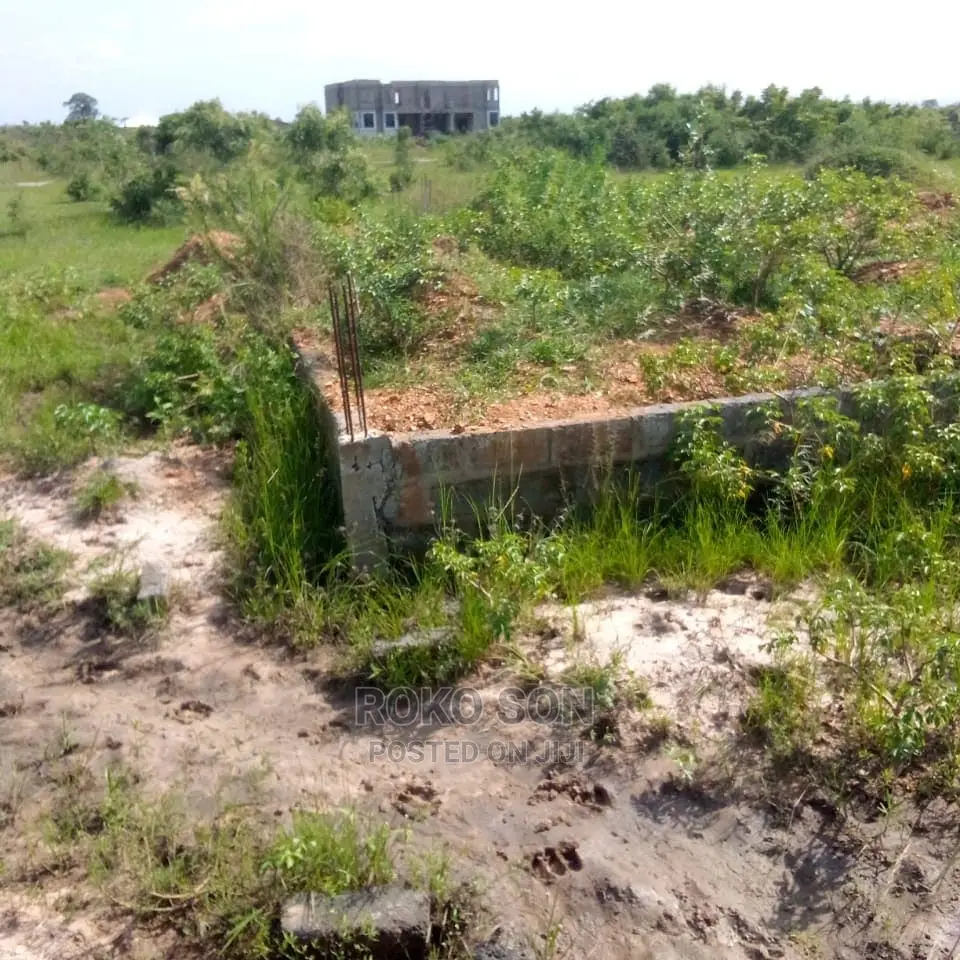 1 and Half Plot of Land for Sale 
At Dzowulu