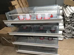 Day Old Cage