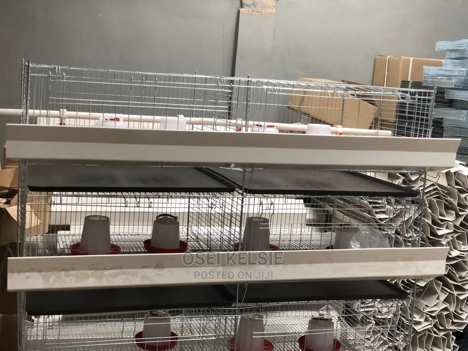 Day Old Cage