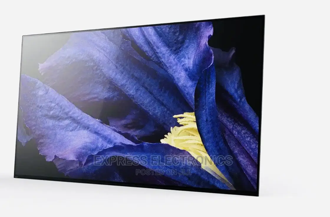 Rich Sound Stylish Design UHD OLED DISPLAY Sony 65A9G