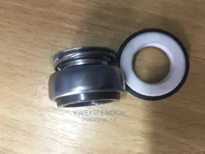 Leaking Water Pump Seal