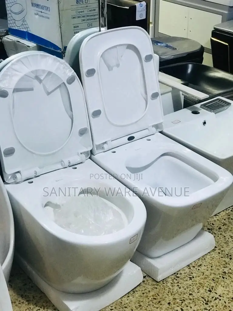 Wall Hung Toilet - Concealed Water Closet - Wall Wc