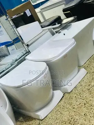 Wall Hung Toilet - Concealed Water Closet - Wall Wc