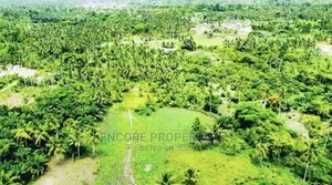 100,000 + Acres Farm Land Now Selling