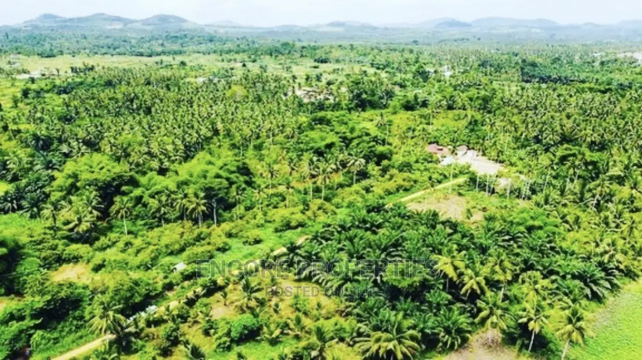 100,000 + Acres Farm Land Now Selling