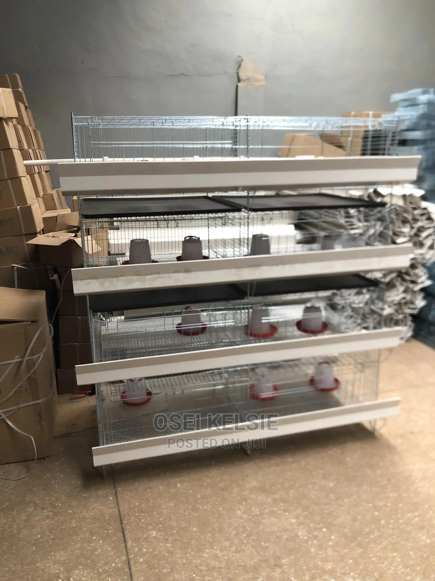 Day Old Cage