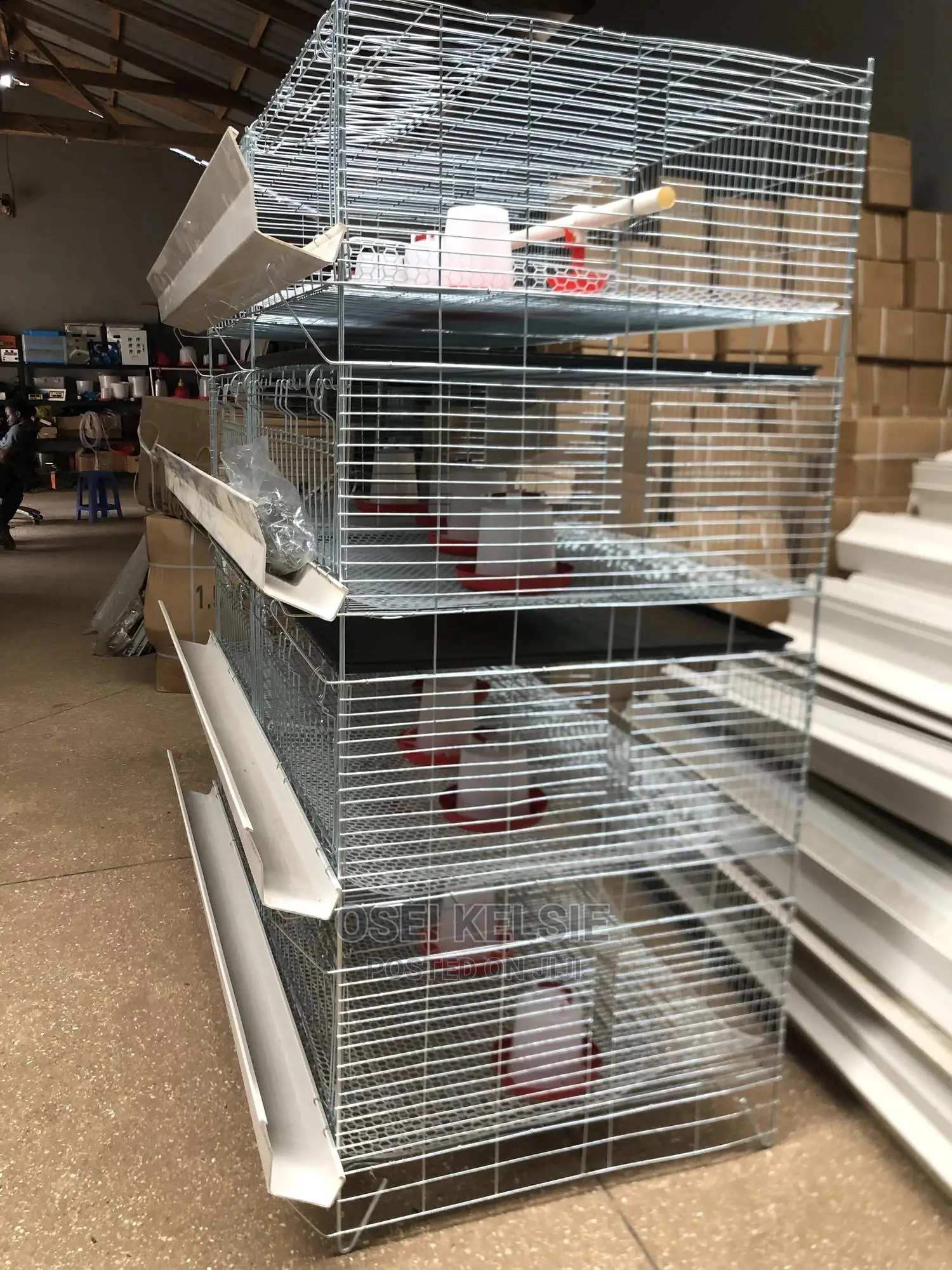 Day Old Cage