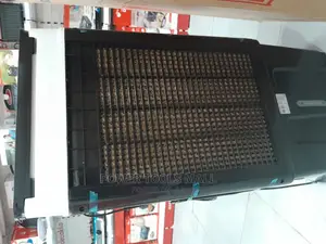 Portable Standing Air Cooler