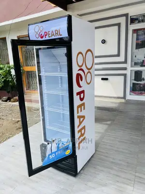Extremely Chilling Pearl 318L Beverage Fridge Display(PVC46)