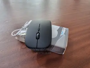 Bluetooth/Wireless Rechargeable Mouse